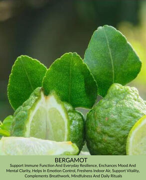 Bergamot
