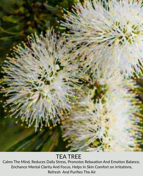 Tea Tree