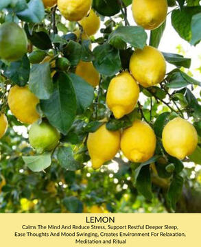 Lemon
